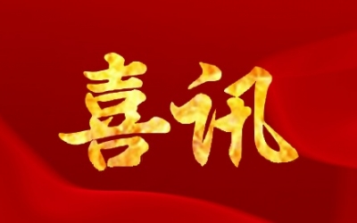 公司順利通過(guò)浙江省企業(yè)技術(shù)中心復(fù)評(píng)，并獲“優(yōu)秀”等級(jí)